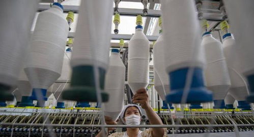 三重困境下的外貿工廠 接單、履約與收款之難，國內貿易轉型路在何方？