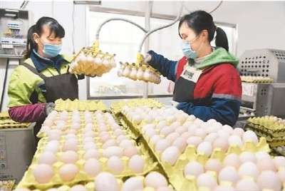 多部門聯手保供穩價 水果市場迎來“平價時代”