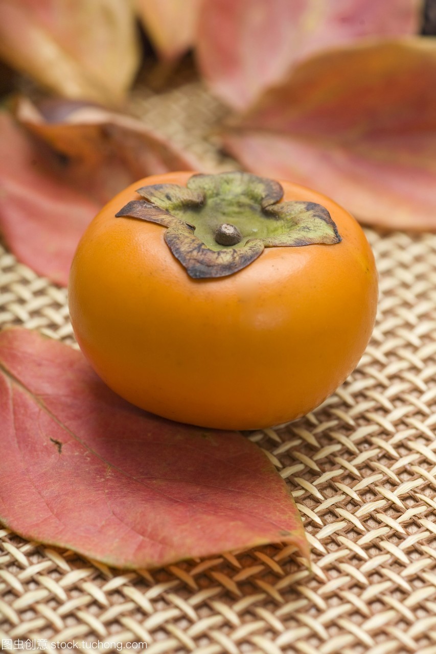 柿子熟了的秋天 一室金黃，無人采擷